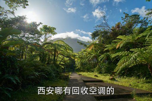 西安市回收旧家电，有那位知道西安市的旧家电市场在那