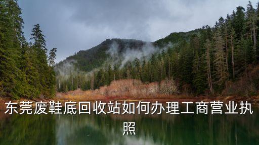 东莞废鞋底回收站如何办理工商营业执照