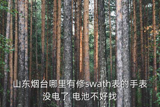山东烟台哪里有修swath表的手表没电了 电池不好找