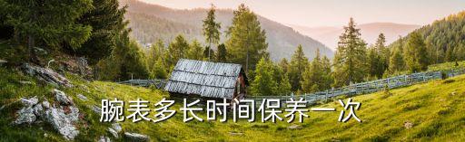 腕表多长时间保养一次