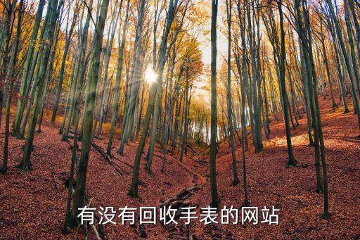 有没有回收手表的网站