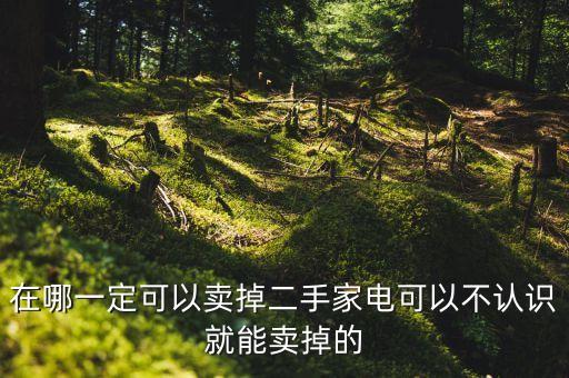 在哪一定可以卖掉二手家电可以不认识就能卖掉的