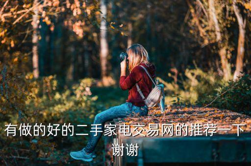 有做的好的二手家电交易网的推荐一下谢谢