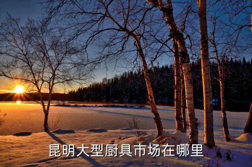 昆明大型厨具市场在哪里