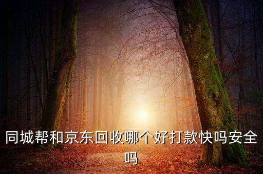 同城帮和京东回收哪个好打款快吗安全吗