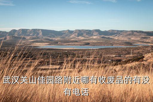 武汉关山佳园路附近哪有收废品的有没有电话