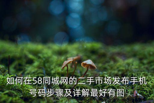 如何在58同城网的二手市场发布手机号码步骤及详解最好有图