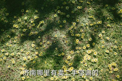 济南哪里有卖二手空调的