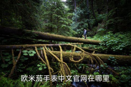 欧米茄手表中文官网在哪里
