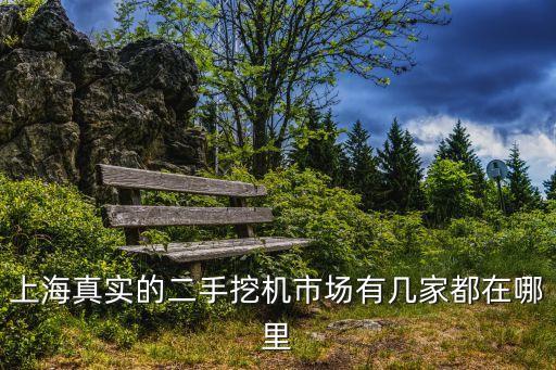 上海真实的二手挖机市场有几家都在哪里