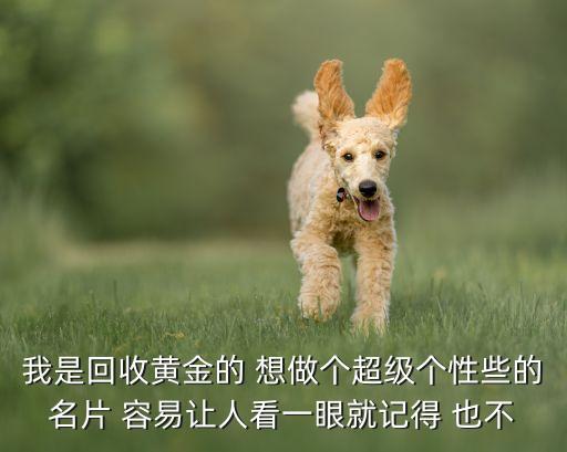 我是回收黄金的 想做个超级个性些的名片 容易让人看一眼就记得 也不