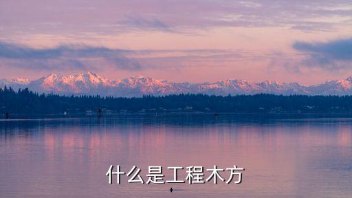 什么是工程木方