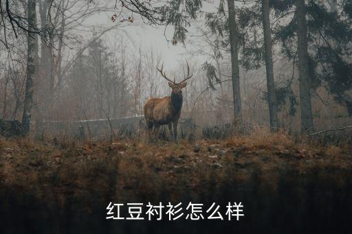 红豆衬衫怎么样