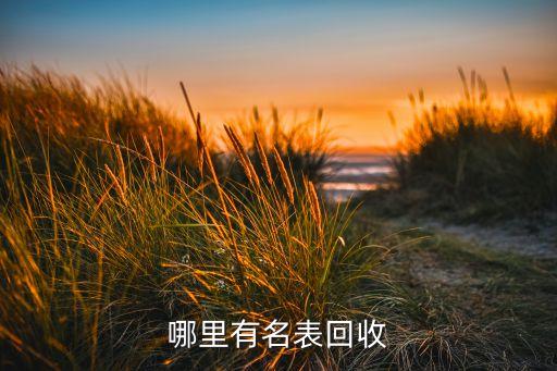 哪里有名表回收