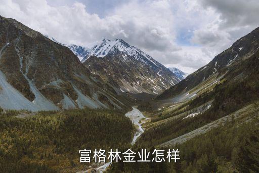 富格林金业怎样