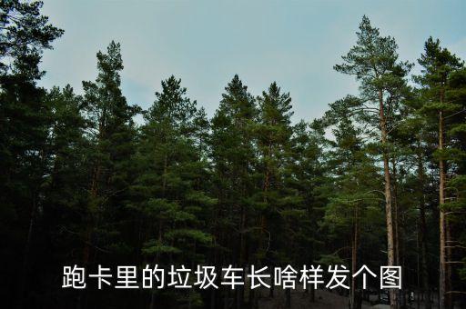 跑卡里的垃圾车长啥样发个图
