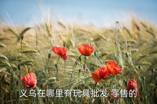 义乌在哪里有玩具批发 零售的