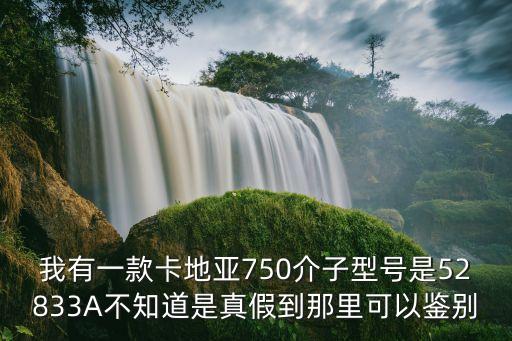 我有一款卡地亚750介子型号是52833A不知道是真假到那里可以鉴别