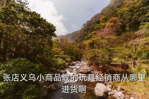 张店义乌小商品城的玩具经销商从哪里进货啊