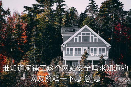 谁知道淘铺王这个网站安全吗求知道的网友解释一下急 急 急