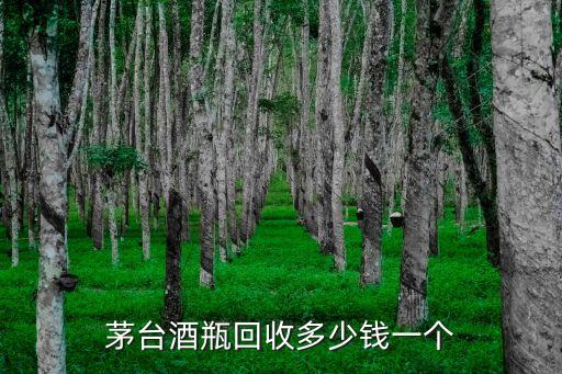 上门收酒瓶多少钱一个，茅台酒瓶回收多少钱一个