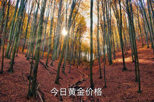今日黄金价格