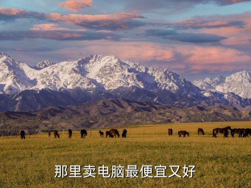 电脑哪里卖出去最划算，哪里卖电脑最便宜又保证质量