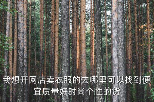 我想开网店卖衣服的去哪里可以找到便宜质量好时尚个性的货
