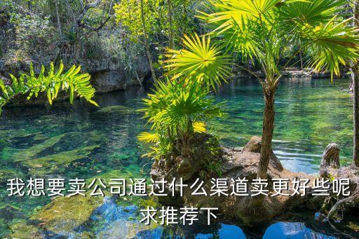 重庆公司转让交易平台哪家好，公司转让网