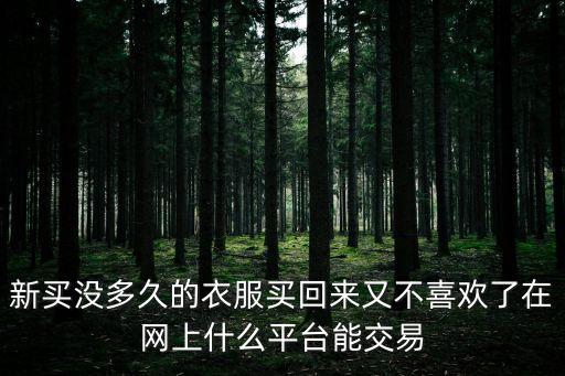 新买没多久的衣服买回来又不喜欢了在网上什么平台能交易