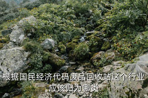 回收公司是什么行业类别，废品回收属于什么行业类别