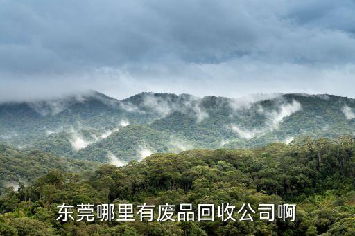 东莞哪里有废品回收公司啊