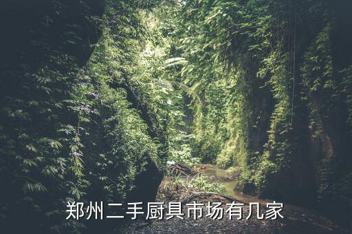 郑州二手厨具市场有几家
