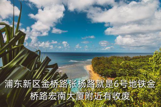 个人上门收废品电话上海，浦东新区金桥路张杨路就是6号地铁金桥路宏南大厦附近有收废