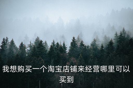 我想购买一个淘宝店铺来经营哪里可以买到