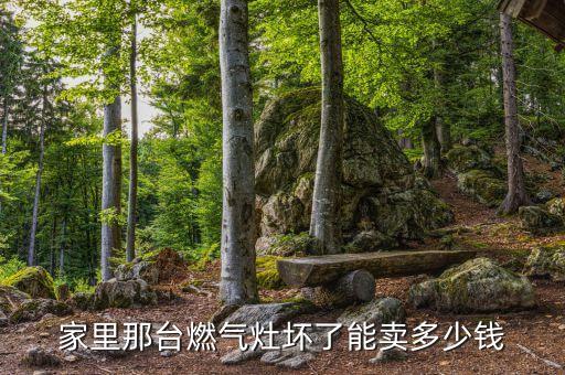 二手燃气炉回收上门，家里那台燃气灶坏了能卖多少钱