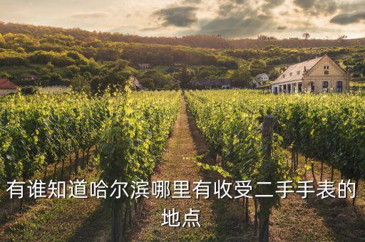 二手表回收地址，成都哪有收二手手表的地方