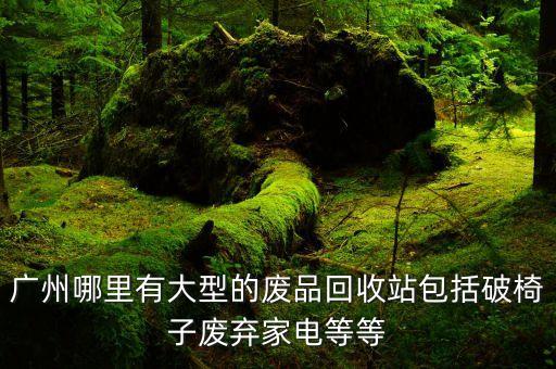 广州哪里有大型的废品回收站包括破椅子废弃家电等等