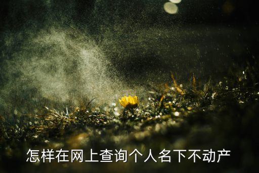 怎样在网上查询个人名下不动产