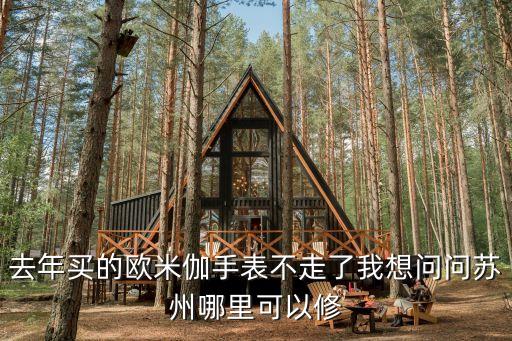 苏州欧米茄维修点，去年买的欧米伽手表不走了我想问问苏州哪里可以修