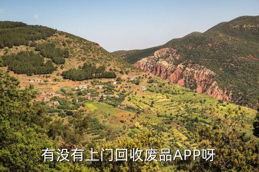 有没有上门回收废品APP呀