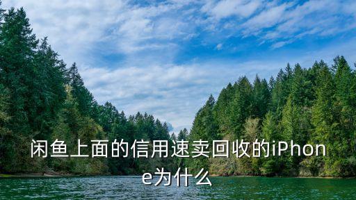 闲鱼上面的信用速卖回收的iPhone为什么
