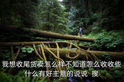 我想收尾货卖怎么样不知道怎么收收些什么有好主意的说说  搜