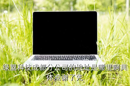 绿盟科技成都分公司的地址是哪里啊具体点谢了先