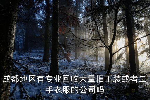 成都地区有专业回收大量旧工装或者二手衣服的公司吗
