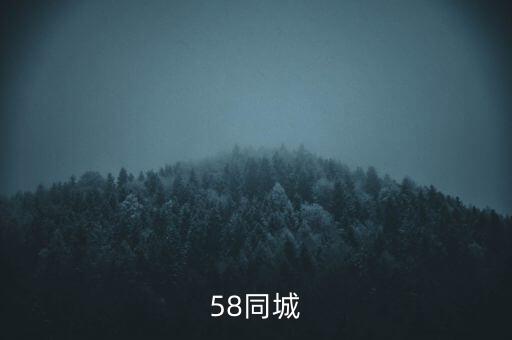 58同城
