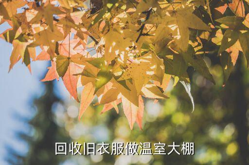 回收旧衣服做温室大棚