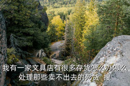 我有一家文具店有很多存货怎么办怎么处理那些卖不出去的死货  搜
