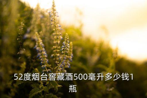 52度烟台窖藏酒500毫升多少钱1瓶