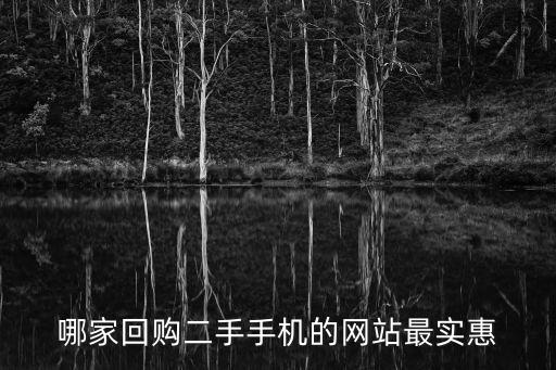 哪家回购二手手机的网站最实惠